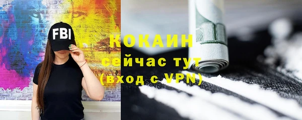 ALPHA-PVP Богородицк