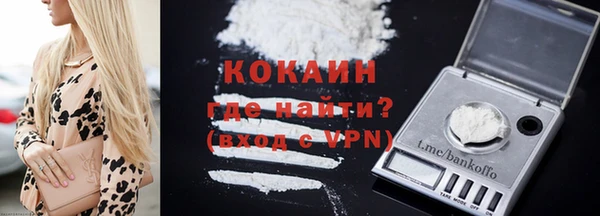 индика Белоозёрский