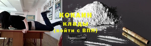 индика Белоозёрский