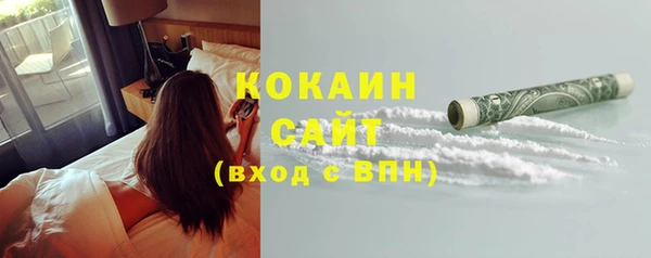 индика Белоозёрский