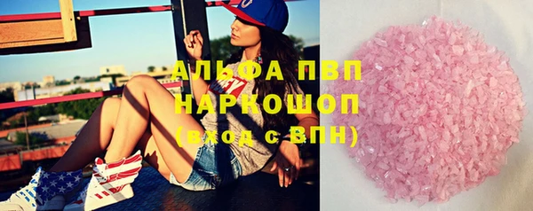 индика Белоозёрский