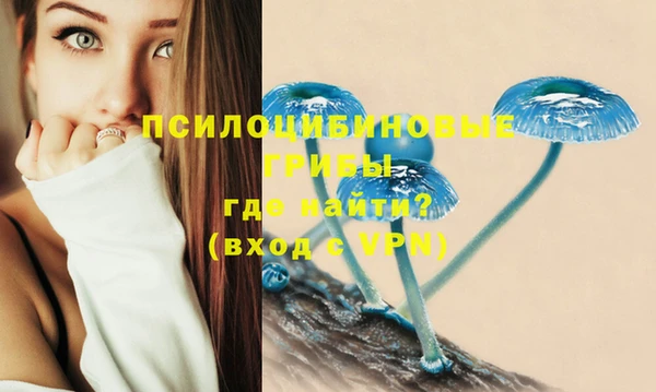 герыч Богданович