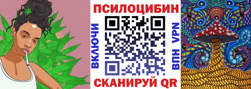 Галлюциногенные грибы Psilocybe  blacksprut tor  Каменка  наркота 